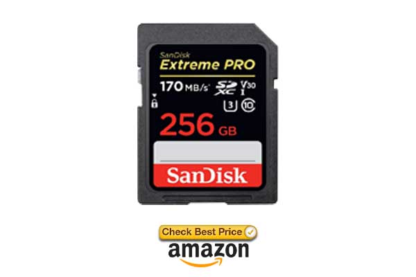 sandisk sd card for wyze