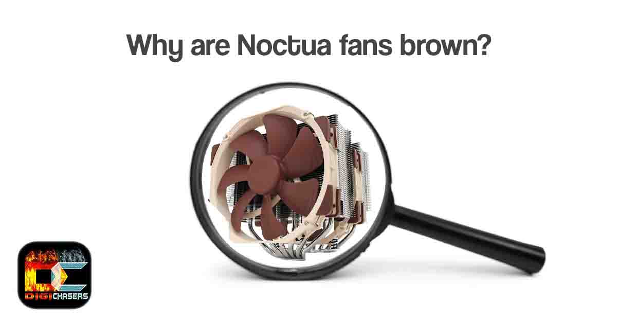 Why are Noctua fans brown featured.jpg