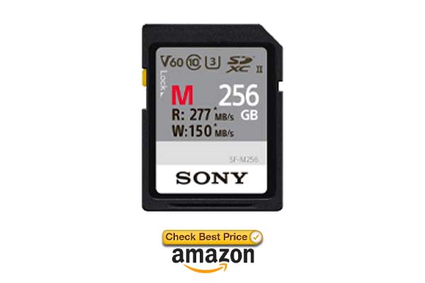 sony sd card for wyze