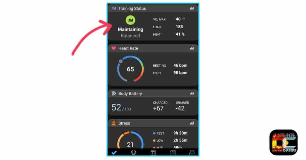 acute load on garmin connect