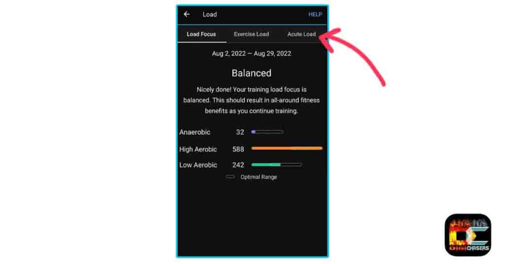 garmin acute load connect